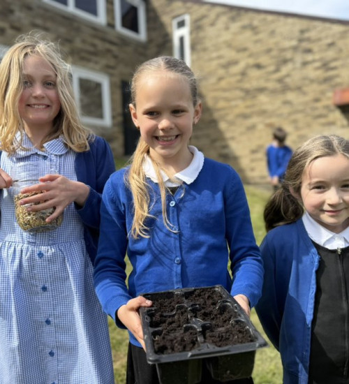 DW, GH and RP science soil